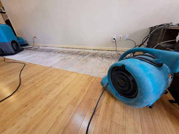 Professional Flood Damage Cleanup technician working in Salisbury, MO